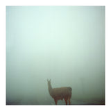 Silence of breath - 04 (Print Only) thumbnail