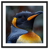 King Penguin Standing In Rain With Water Drops Nature Photography thumbnail