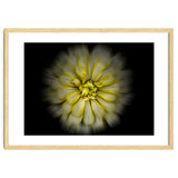 Backyard Flowers No 86 Color Flow Version thumbnail