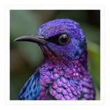 Vibrant Purple Bird With Water Droplets (Print Only) thumbnail