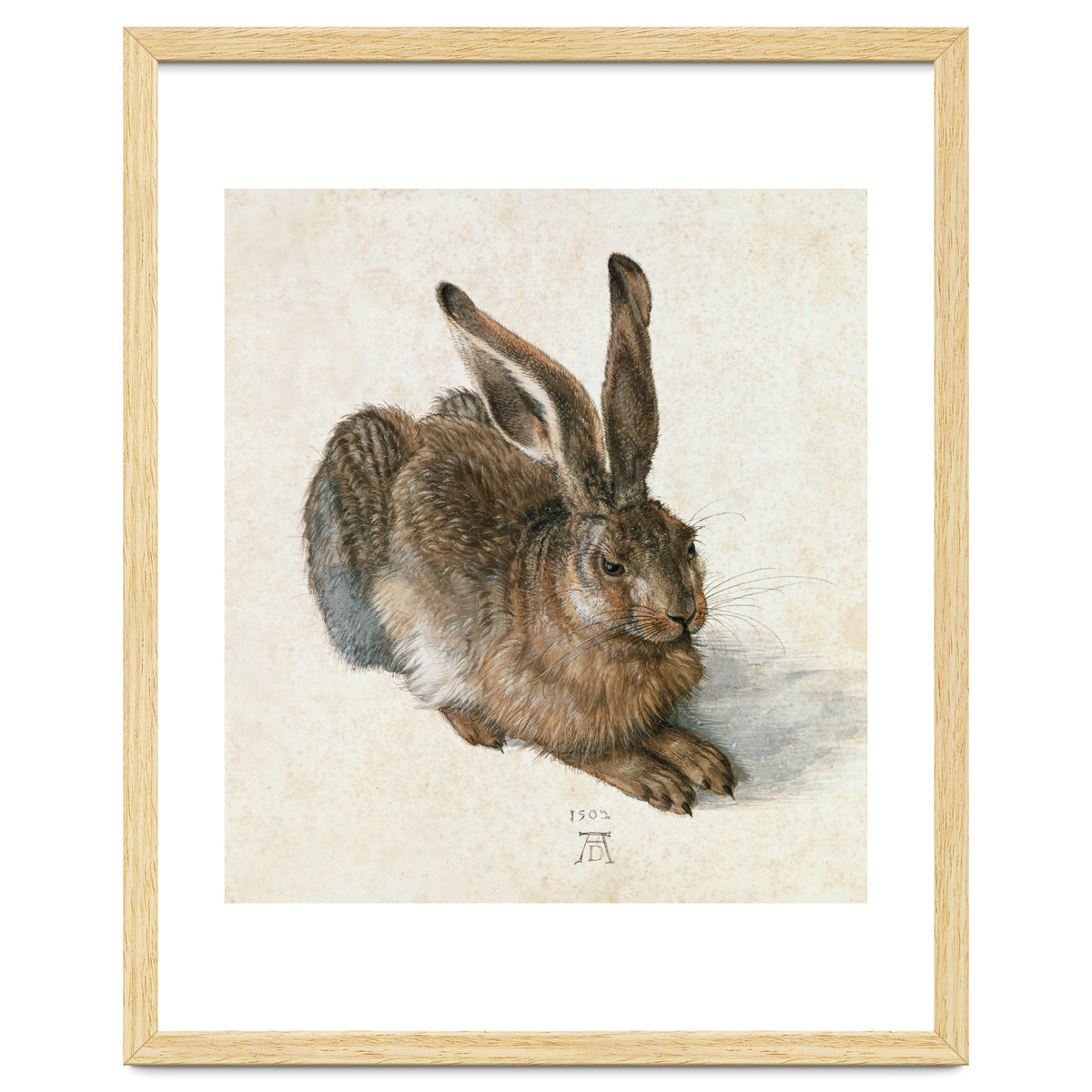 Hare-Hase. Watercolour.