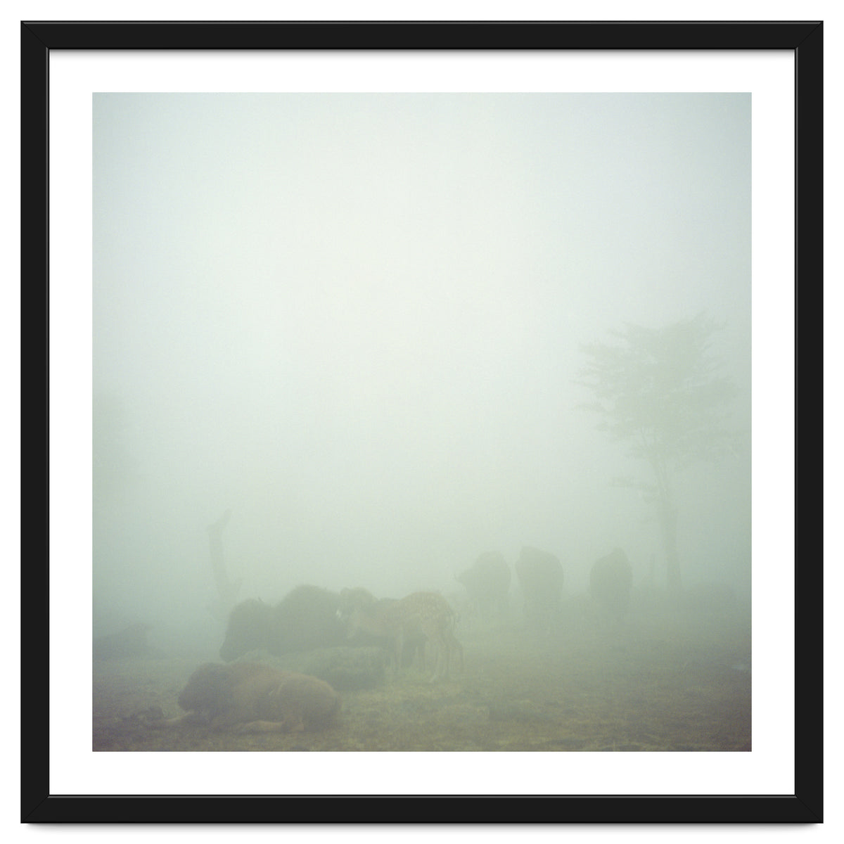 Silence of breath - 03