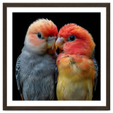 Two Lovebirds Nuzzle Together thumbnail