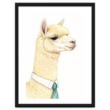 Alpaca thumbnail