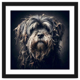 Old Dog 03 thumbnail