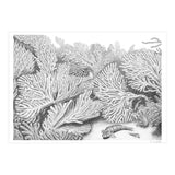 Hidden in plain sight (Print Only) thumbnail