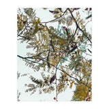 Patterns In Nature (Print Only) thumbnail