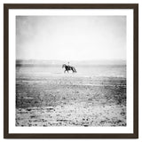 Sea Horse thumbnail