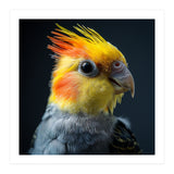 Cockatiel Parrot Bird Head (Print Only) thumbnail