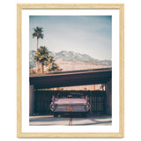 Palm Springs Pink thumbnail