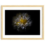 Backyard Flowers No 25 Color Flow Version thumbnail