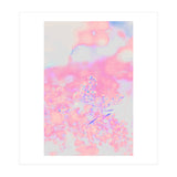 Chamomile (Print Only) thumbnail