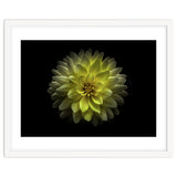 Backyard Flowers No 128 Color Version thumbnail