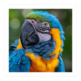 Close Up Blue And Yellow Macaw Parrot Face (Print Only) thumbnail