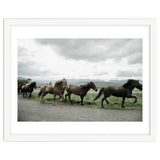 Running horses - Iceland thumbnail