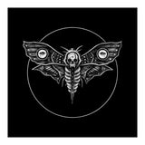 Deaths Head Moth (Print Only) thumbnail