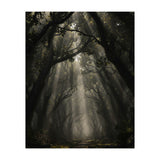 Enchanted Canopy: Mystical Forest Path (Print Only) thumbnail