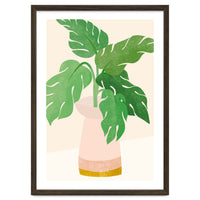 Fresh Morning Monstera Plant