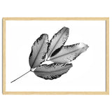 Branches and Leaves, 2016, 1 thumbnail