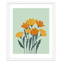 Orange and Yellow Flowers