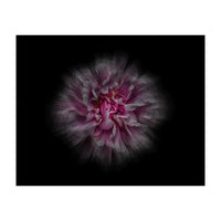 Backyard Flowers No 116 Color Flow Version (Print Only)