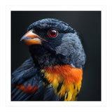 Black Bird With Red Eyes And Orange Chest Feathers (Print Only) thumbnail