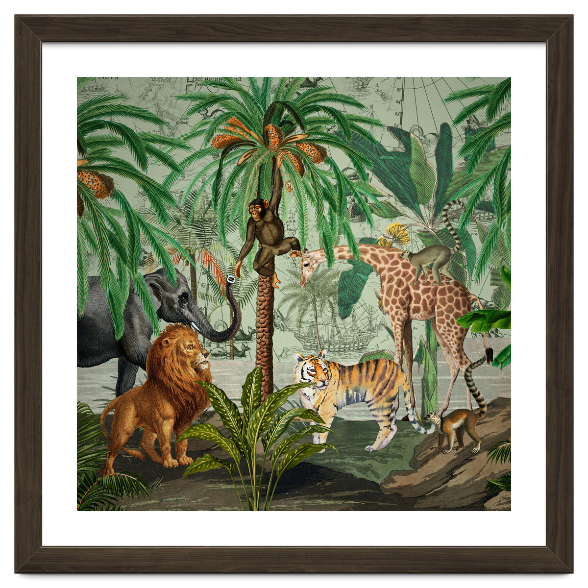 Vintage African Adventure