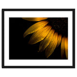 Backyard Flowers No 28 Sunflower thumbnail