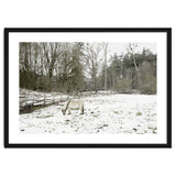 White horse in the snow field thumbnail