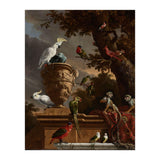 The Menagerie. The Managerie. Dating: c. 1690. Measurements: h 135 cm × w 116.5 cm. (Print Only) thumbnail