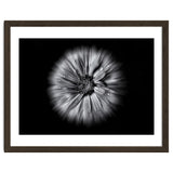 Backyard Flowers In Black And White No 10 Flow Version thumbnail