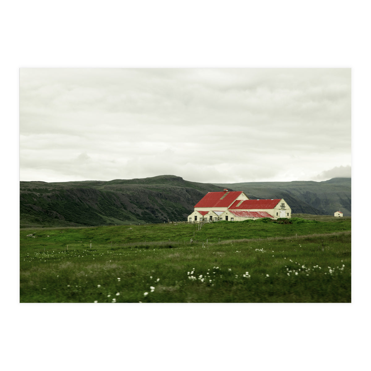 Red roof house in the greenfield - Iceland (Print Only)