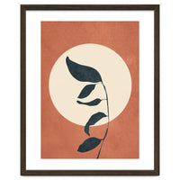 Summer Leaves