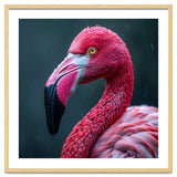 Close Up Pink Flamingo In Rain Drops thumbnail