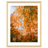 Autumn Leaves thumbnail