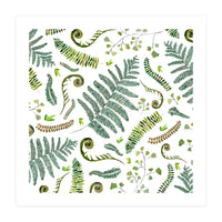 Spring Fern Pattern (Print Only)