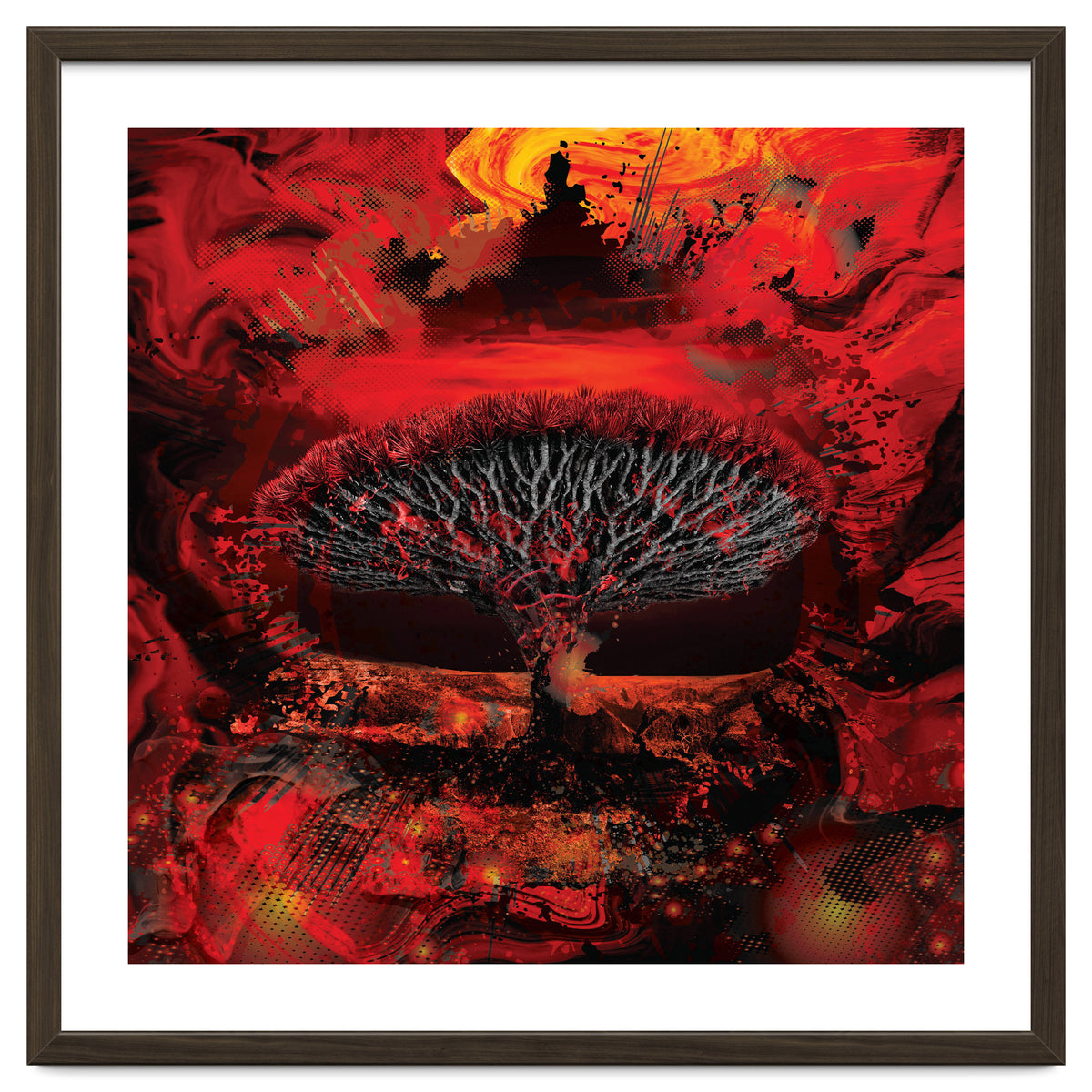 Socotra Dragon Blood tree