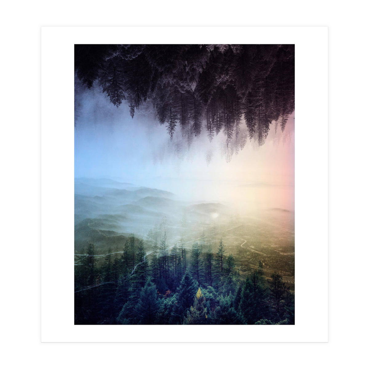 Magic Woods (Print Only)