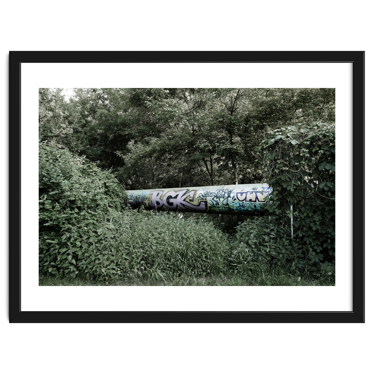 Graffiti pipe among the summer forest