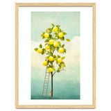 Lemon Tree thumbnail