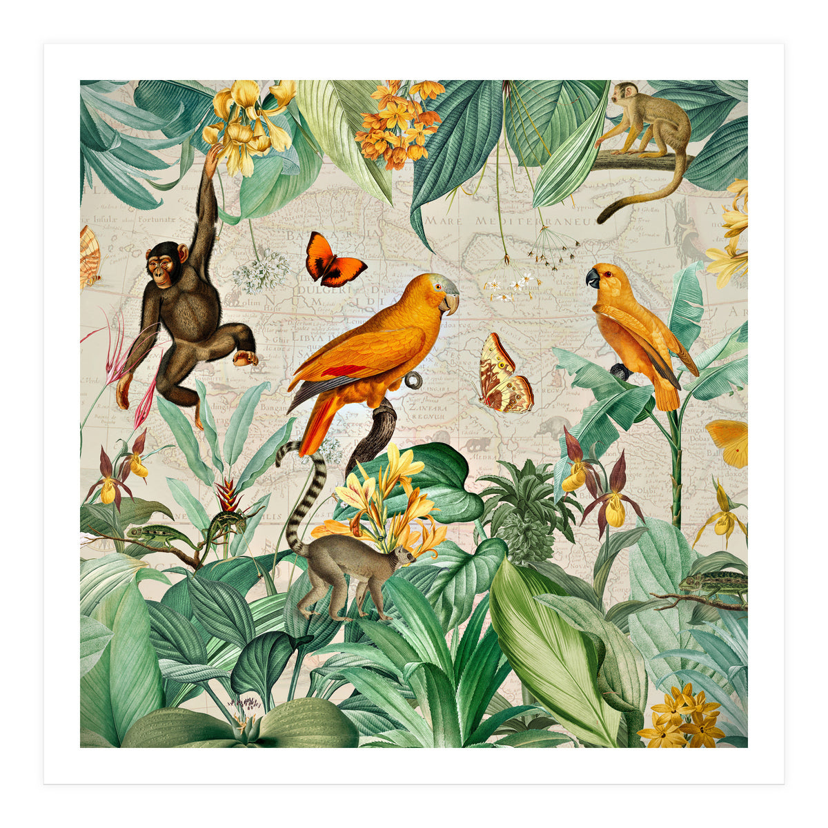 Vintage African Tropical Jungle Fun Animals (Print Only)