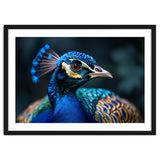Peacock Head Close Up Majestic Blue Bird thumbnail