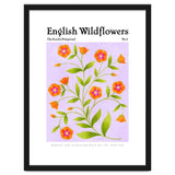 English Wildflowers | Scarlet Pimpernel thumbnail