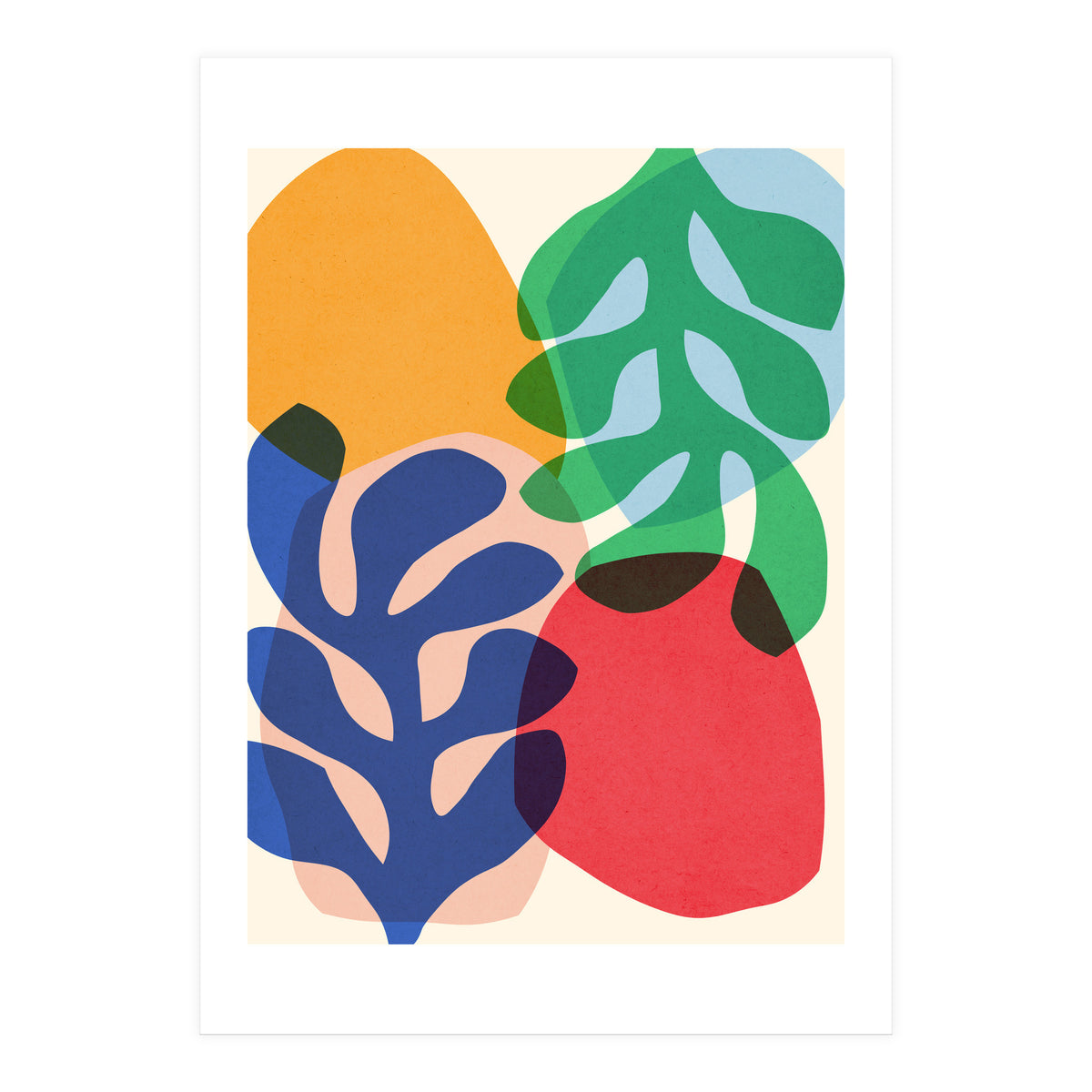 Floral matisse 7 (Print Only)