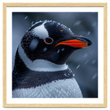 Close Up Penguin Portrait In Snowy Weather thumbnail