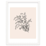Acacia Botanical illustration thumbnail