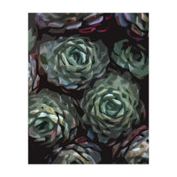 Succulent Plant Ii (Print Only)