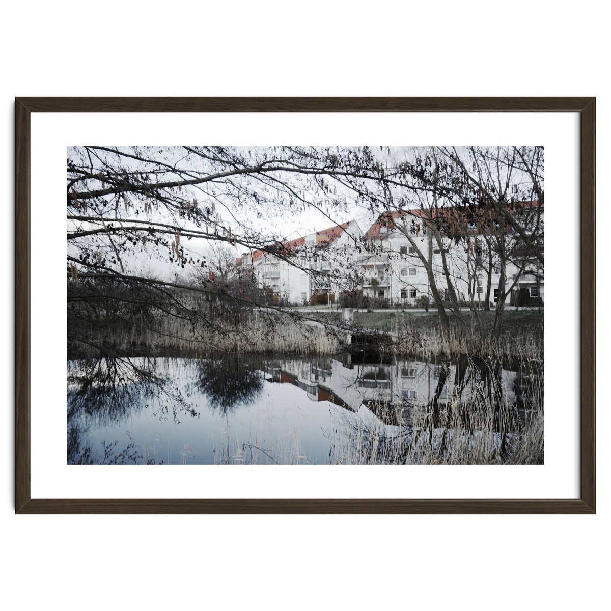 Residential house along the lake