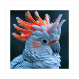 Cockatoo Bird With Orange Crest Portrait (Print Only) thumbnail