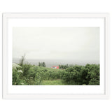 Red Roof house in between the summer green field - Iceland thumbnail